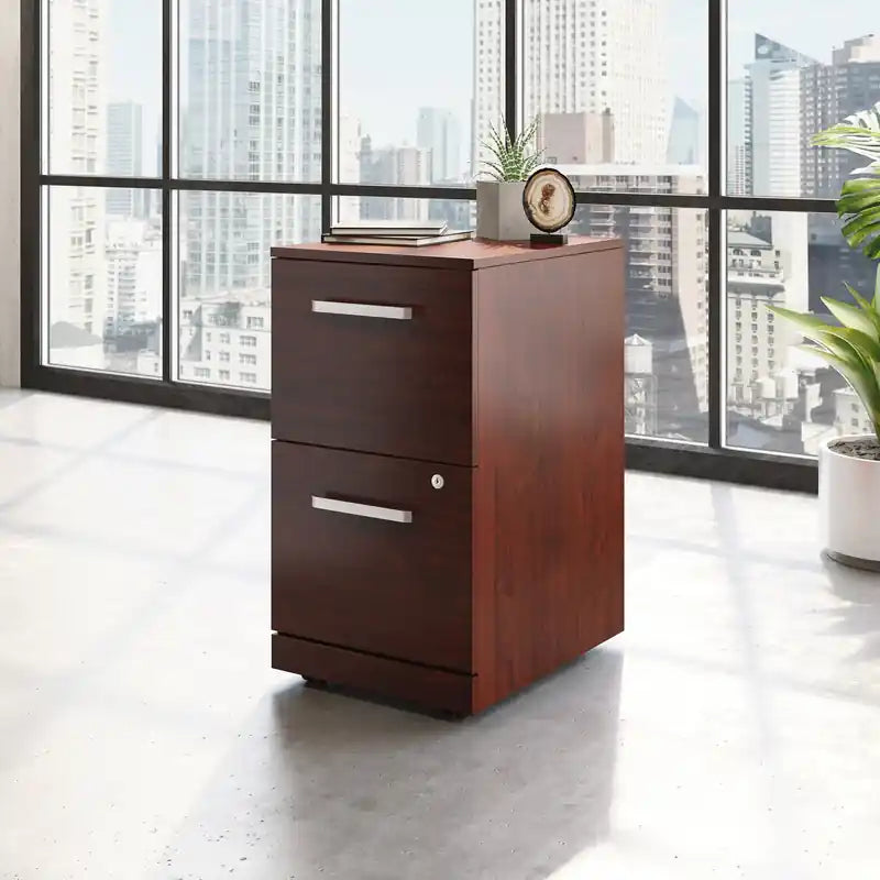 15.55 Armoire de classement commerciale à 2 tiroirs – Cerisier classique