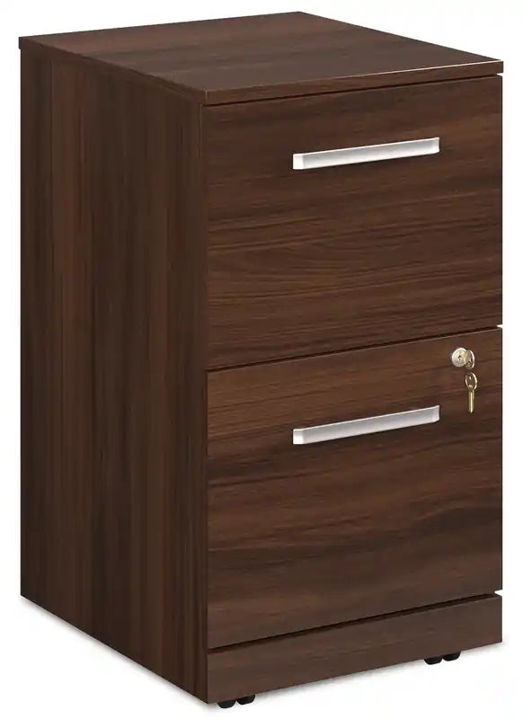 15.55 Armoire de classement commerciale à 2 tiroirs – Cerisier classique