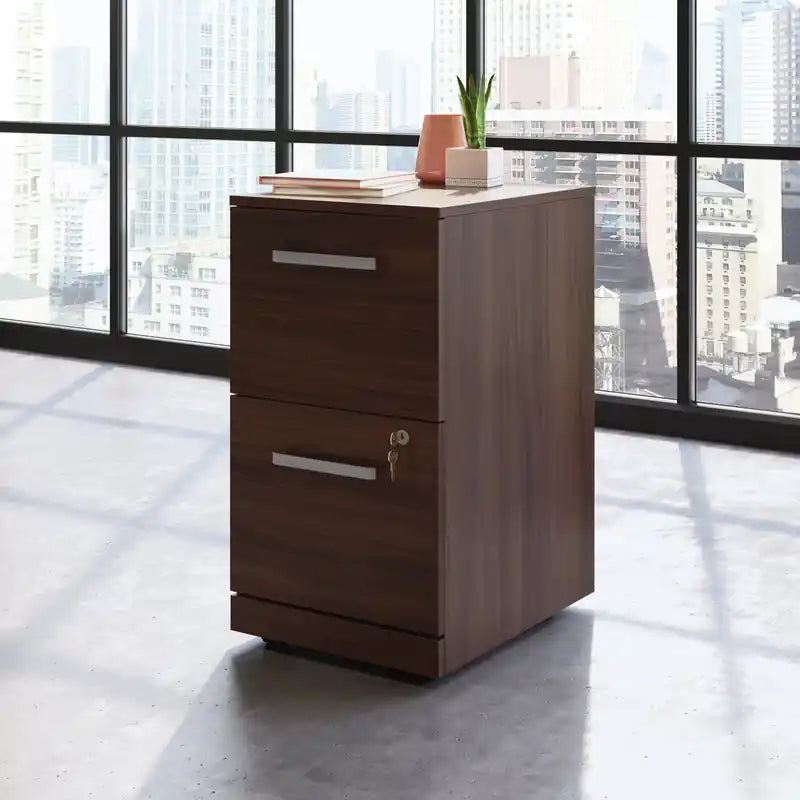 15.55 Armoire de classement commerciale à 2 tiroirs – Cerisier classique