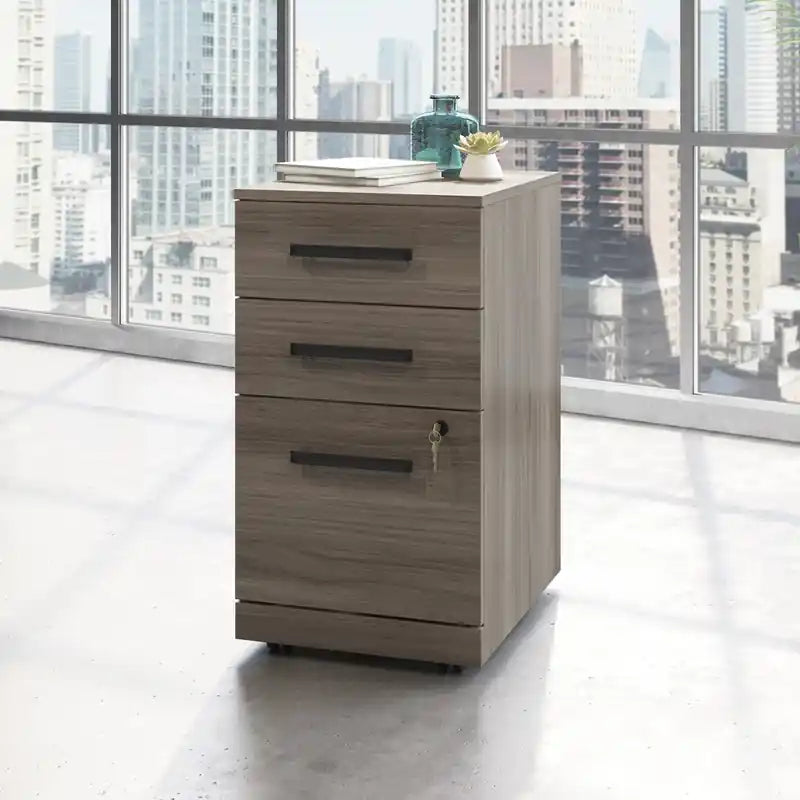 15.55 Armoire de classement commerciale à 2 tiroirs – Cerisier classique