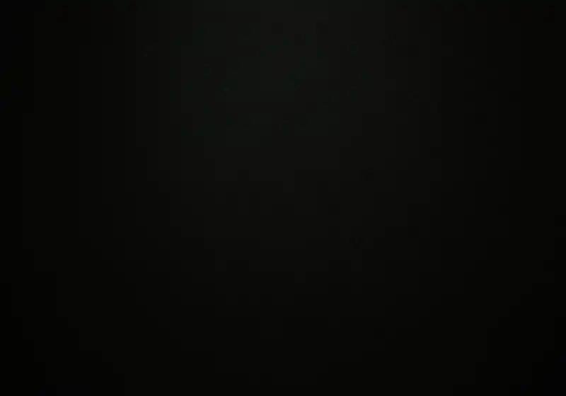Bibliothèque noire